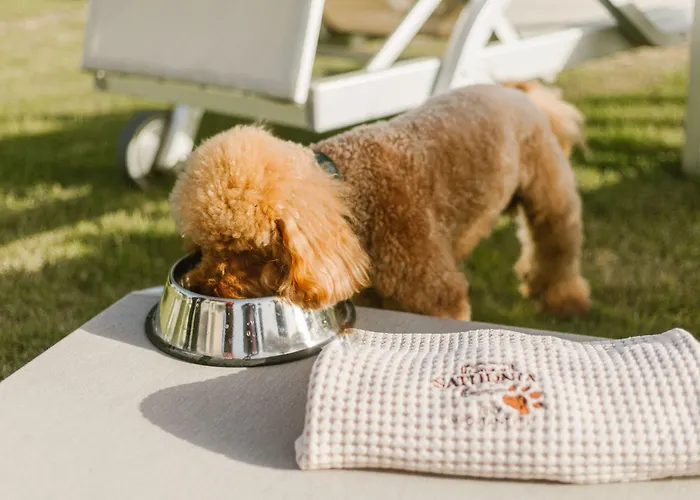 Terme Di Natural & Golf - The Leading Of The World Ξενοδοχείο 5*